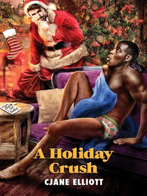 cover image of A Holiday Crush